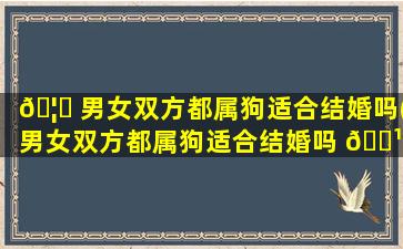 🦅 男女双方都属狗适合结婚吗(男女双方都属狗适合结婚吗 🌹 好吗)